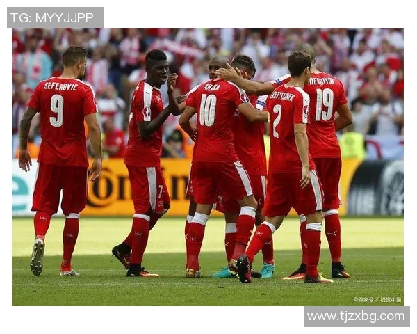 北爱尔兰与瑞士激战成平局双方在友谊赛中各展风采 北爱尔兰与瑞士激战成平局双方在友谊赛中各展风采