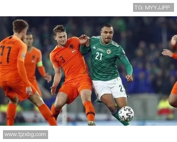 法国队与爱尔兰足球对决精彩回顾与赛后分析