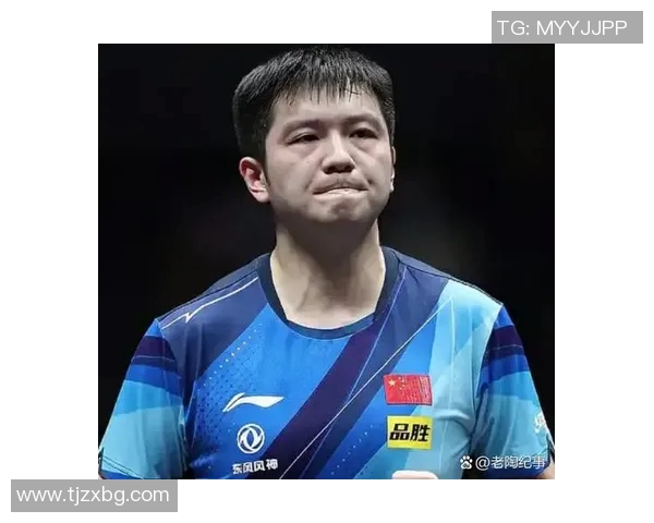 樊振东世界排名持续攀升乒乓球界新星的崛起与挑战分析